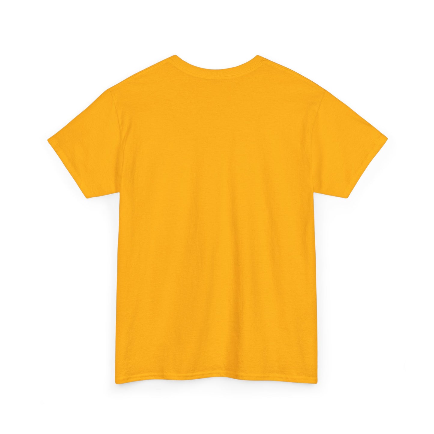 Trekkie Unisex Heavy Cotton Tee, What Happens on Risa, stays on Risa. Tshirt, Shirt, Funny Gift, Sci-Fi Fan Merchandise, Summer Fashion