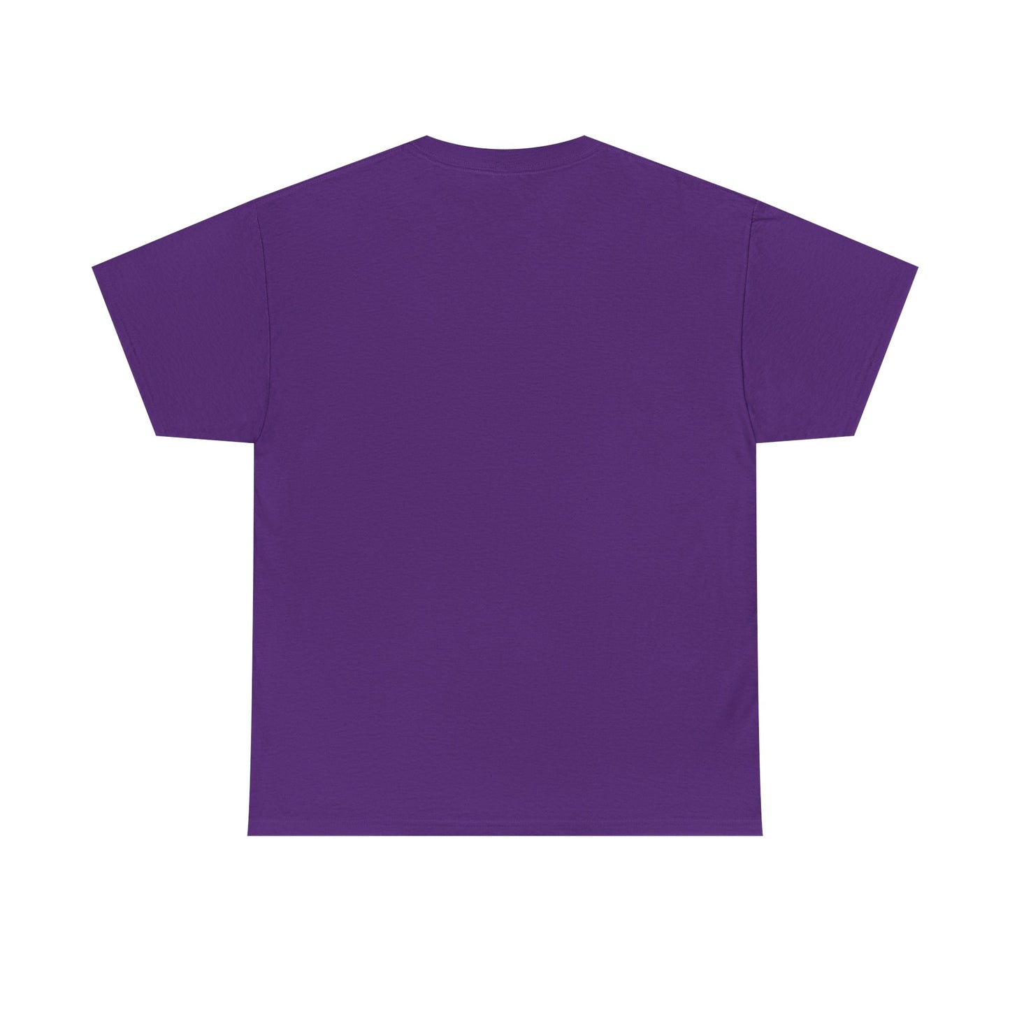 Transformers Decepticon Astrotrain T-Shirt, Graphic Tee, Unisex Shirt, Sci-Fi Fan Gift, Robot Apparel