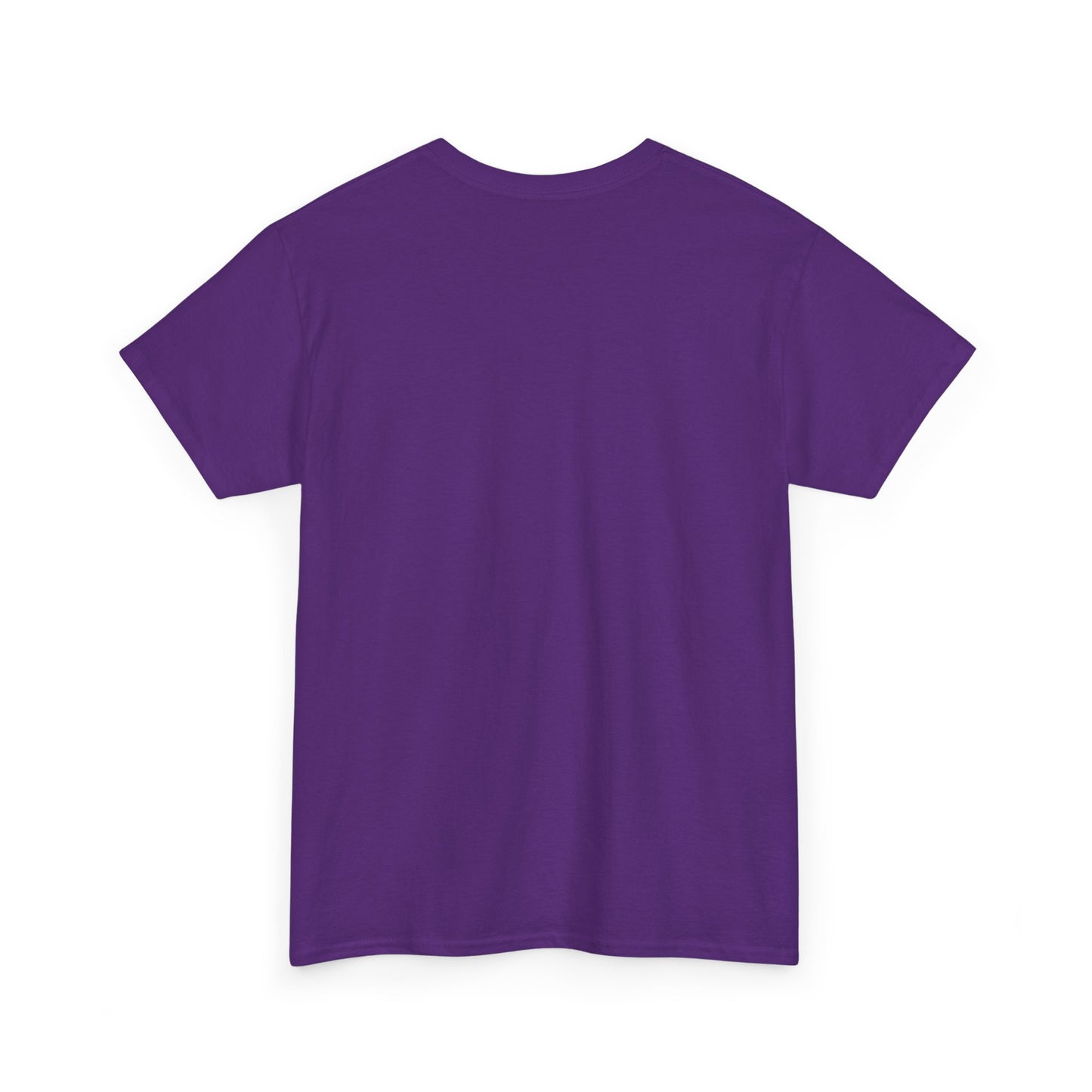 Transformers Decepticon Astrotrain T-Shirt, Graphic Tee, Unisex Shirt, Sci-Fi Fan Gift, Robot Apparel